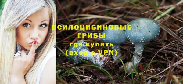мдма Пересвет