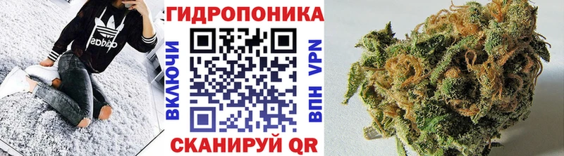 Шишки марихуана VHQ Чайковский